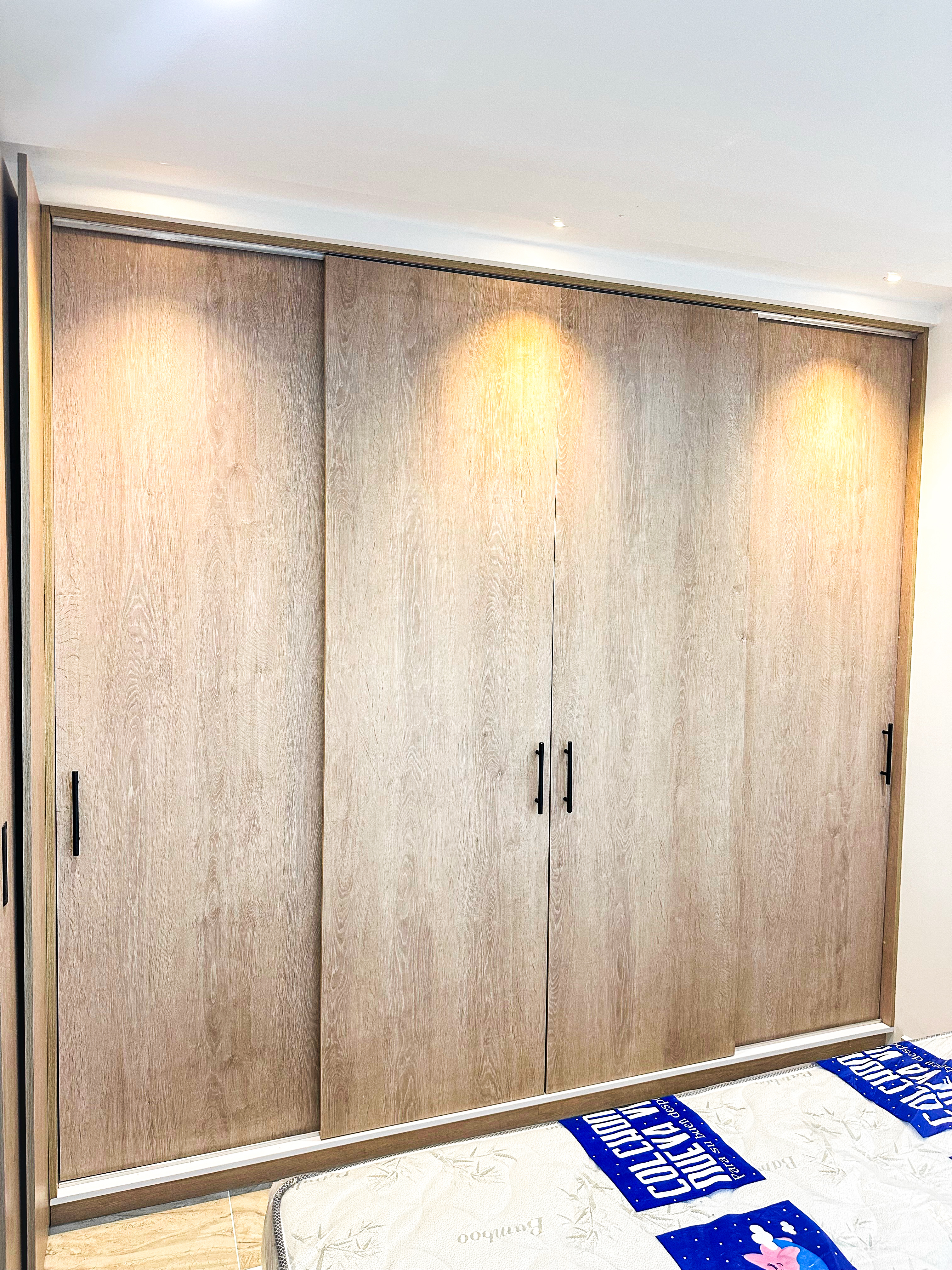 Closets y Vestier